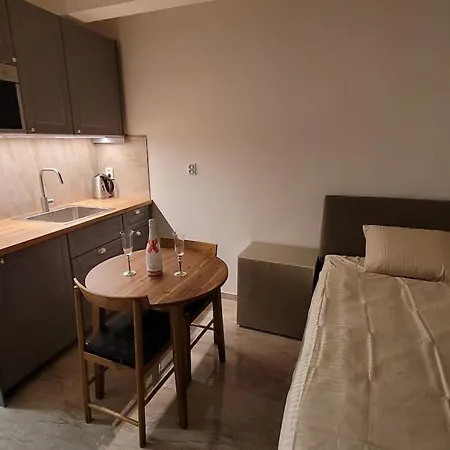 Luxusní Nedaleko Centra Apartmán Praha