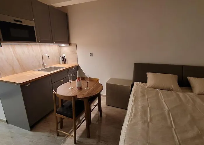 Luxusni Nedaleko Centra Apartament Praga