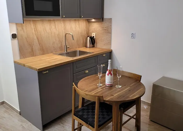 Luxusni Nedaleko Centra Apartament *